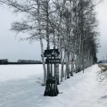 実際訪問したユーザーが直接撮影して投稿した上清川町東カフェCafe あるの写真