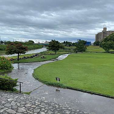 実際訪問したユーザーが直接撮影して投稿した上島公園馬込川みずべの公園の写真