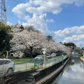 実際訪問したユーザーが直接撮影して投稿した上野田公園さぎ山記念公園の写真