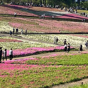 羊山公園 芝桜の丘のundefinedに実際訪問訪問したユーザーunknownさんが新しく投稿した新着口コミの写真