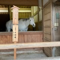 実際訪問したユーザーが直接撮影して投稿した(番地が直接)神社金刀比羅宮の写真