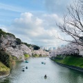 実際訪問したユーザーが直接撮影して投稿した麹町公園千鳥ヶ淵公園の写真