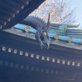 実際訪問したユーザーが直接撮影して投稿した北品川神社荏原神社の写真