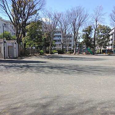 実際訪問したユーザーが直接撮影して投稿した井田中ノ町公園住吉西公園の写真