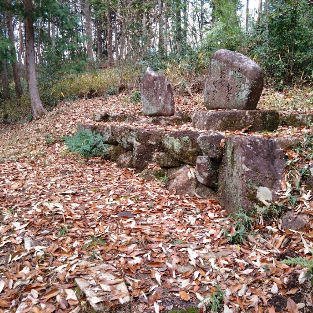 実際訪問したユーザーが直接撮影して投稿した穴田町寺如々庵の写真