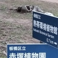 実際訪問したユーザーが直接撮影して投稿した赤塚植物園 / 樹木園板橋区立 赤塚植物園の写真