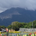 実際訪問したユーザーが直接撮影して投稿した山 / 峠藤原岳の写真