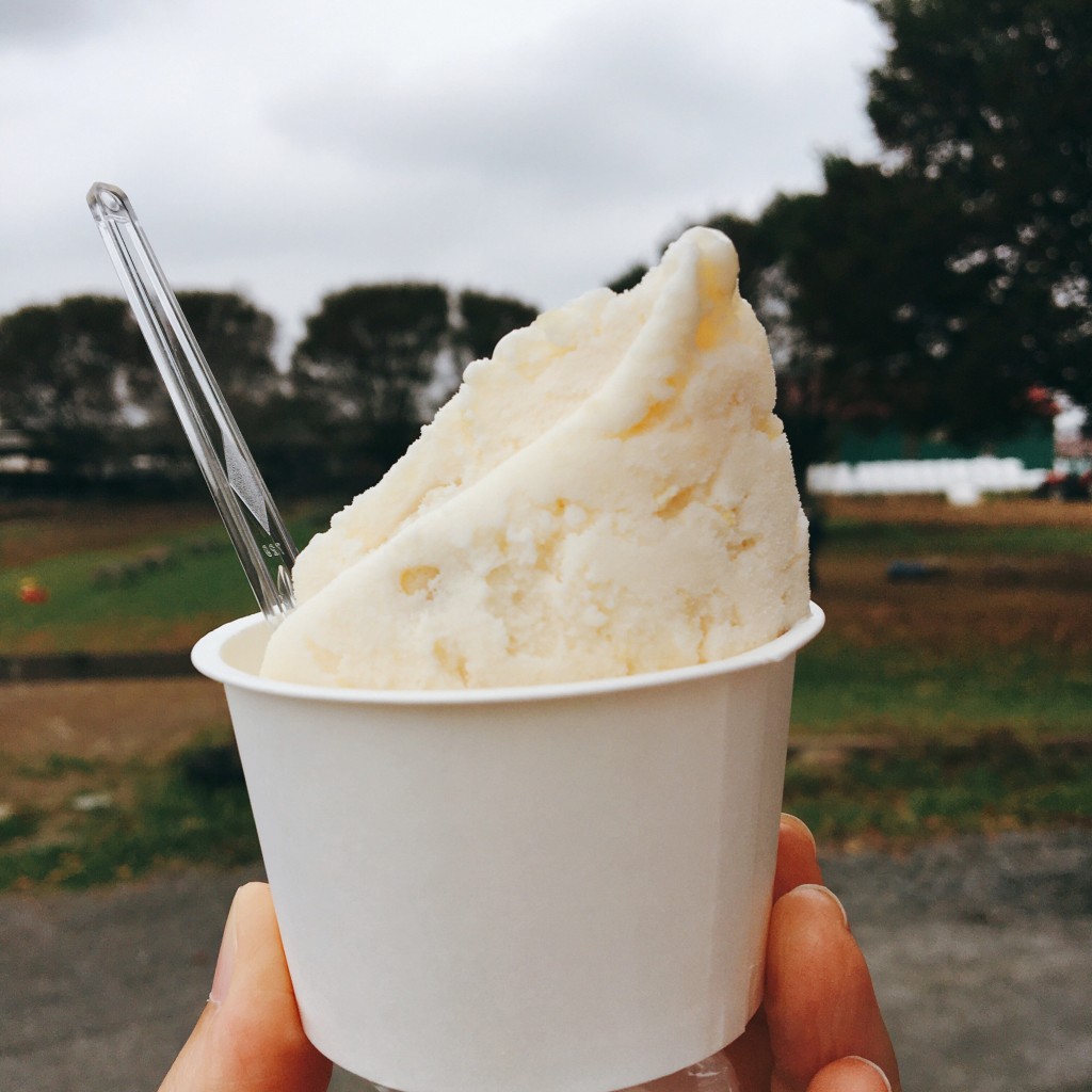 Yeltsinerinさんが投稿した旭ケ丘アイスクリームのお店加藤牧場の手づくりアイス バッフィ/カトウボクジョウノテヅクリアイス バッフィの写真