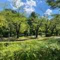 実際訪問したユーザーが直接撮影して投稿した平和公園公園平和公園の写真