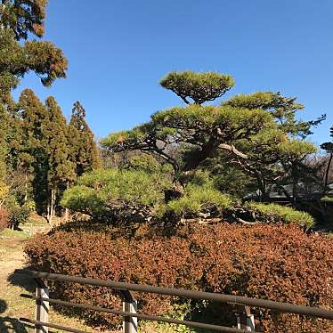 実際訪問したユーザーが直接撮影して投稿した緑地公園庭園日本庭園の写真