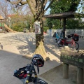 実際訪問したユーザーが直接撮影して投稿した上高田公園上高田台公園の写真