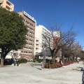 実際訪問したユーザーが直接撮影して投稿した浅草公園隅田公園の写真