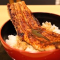 特上うな丼 - 実際訪問したユーザーが直接撮影して投稿した鷺洲魚介 / 海鮮料理ふぐ・かに・うなぎ 福乃城の写真のメニュー情報