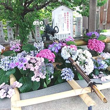 実際訪問したユーザーが直接撮影して投稿した本牧和田神社本牧神社の写真