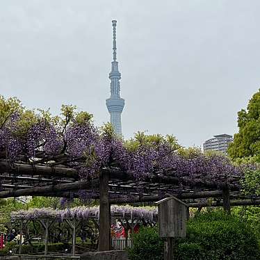 実際訪問したユーザーが直接撮影して投稿した亀戸神社亀戸天神社の写真