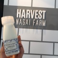 実際訪問したユーザーが直接撮影して投稿した軽井沢アイスクリームHARVEST NAGAI FARM 軽井沢店の写真