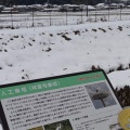 実際訪問したユーザーが直接撮影して投稿した祥雲寺公園兵庫県立 コウノトリの郷公園の写真