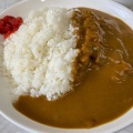 カツカレー - 実際訪問したユーザーが直接撮影して投稿した鶴田町定食屋若山食堂の写真のメニュー情報