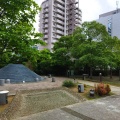 実際訪問したユーザーが直接撮影して投稿した大崎公園大崎光の滝公園の写真