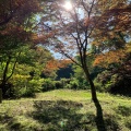 実際訪問したユーザーが直接撮影して投稿した南中野山 / 峠中野もみじ山の写真