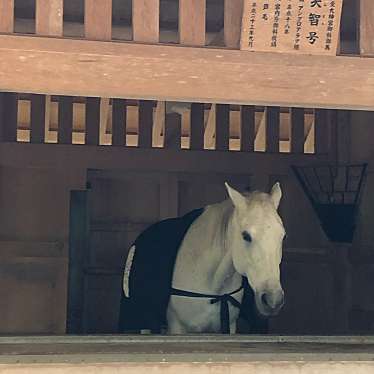 ははみんさんが投稿した豊川町神社のお店伊勢神宮  外宮(豊受大神宮)/イセジングウ ゲクウ トヨウケダイジングウの写真