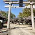 実際訪問したユーザーが直接撮影して投稿した尾頭橋神社西古渡神社の写真