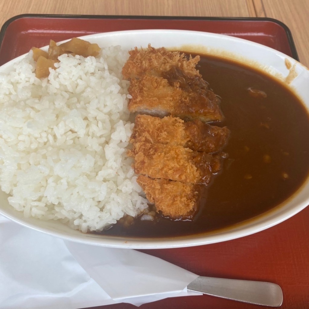 ユーザーが投稿したカツカレーの写真 - 実際訪問したユーザーが直接撮影して投稿した勝間田軽食 / ホットスナック勝央サービスエリアスナックコーナー(下り線)の写真