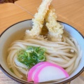 うどん - 実際訪問したユーザーが直接撮影して投稿した国府町桜間そばうどんや 壱の写真のメニュー情報