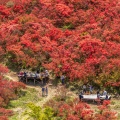 実際訪問したユーザーが直接撮影して投稿した櫛羅山 / 峠葛城山の写真