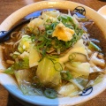 たっぷり野菜 - 実際訪問したユーザーが直接撮影して投稿した熊田ラーメン専門店藤一番 名古屋インター店の写真のメニュー情報