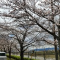 実際訪問したユーザーが直接撮影して投稿した祖父江町桜方プール祖父江の森 温水プールの写真