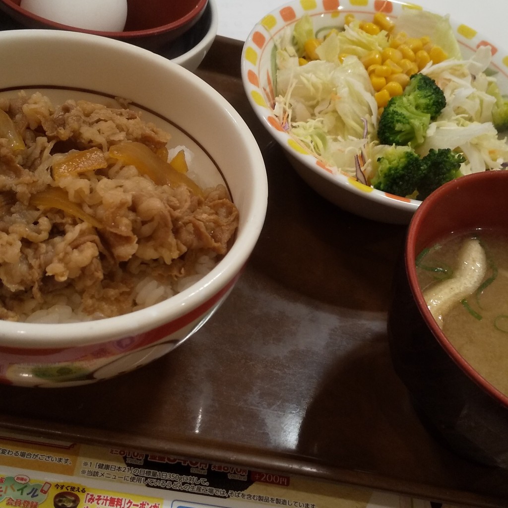 ユーザーが投稿した牛丼ミニランチの写真 - 実際訪問したユーザーが直接撮影して投稿した西宮原牛丼すき家 新大阪西宮原店の写真