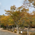 実際訪問したユーザーが直接撮影して投稿した黒尾公園砂川公園の写真