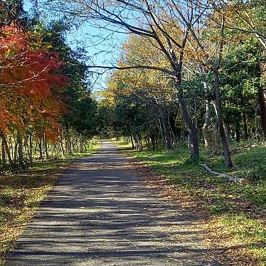 実際訪問したユーザーが直接撮影して投稿した今浜町公園びわこ地球市民の森の写真