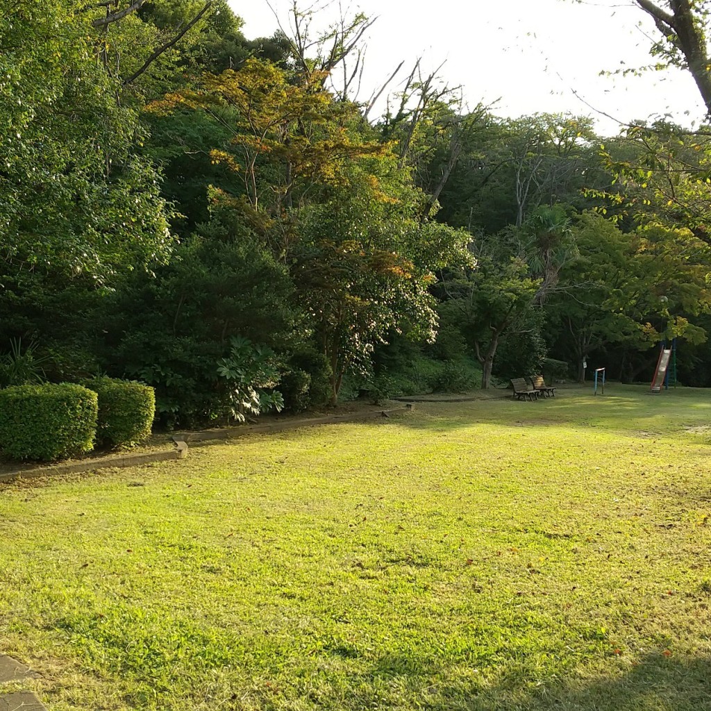 実際訪問したユーザーが直接撮影して投稿した平和台公園平和台1号公園の写真