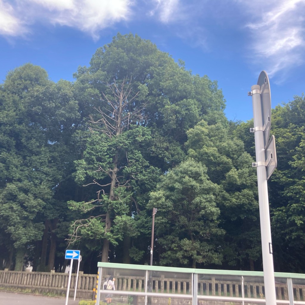 実際訪問したユーザーが直接撮影して投稿した高松神社高松八幡神社の写真