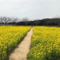 実際訪問したユーザーが直接撮影して投稿した則貞公園ときわ公園の写真