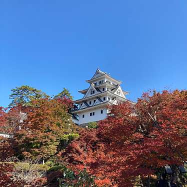 郡上八幡城のundefinedに実際訪問訪問したユーザーunknownさんが新しく投稿した新着口コミの写真