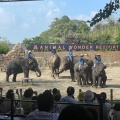 実際訪問したユーザーが直接撮影して投稿した山小川動物園アニマルワンダーリゾウト 市原ぞうの国の写真