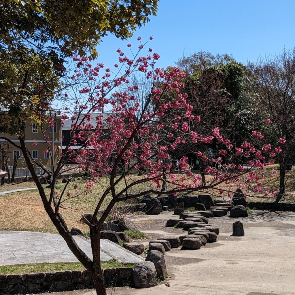 実際訪問したユーザーが直接撮影して投稿した出川町公園出川南公園の写真