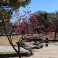 実際訪問したユーザーが直接撮影して投稿した出川町公園出川南公園の写真