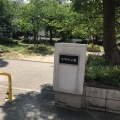 実際訪問したユーザーが直接撮影して投稿した元町公園元町中公園の写真