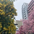 実際訪問したユーザーが直接撮影して投稿した蔵前神社蔵前神社の写真