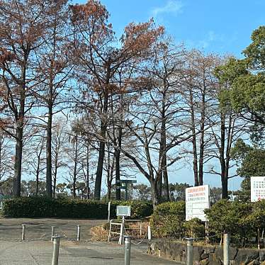 平和市民公園多目的広場のundefinedに実際訪問訪問したユーザーunknownさんが新しく投稿した新着口コミの写真