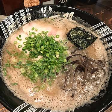 実際訪問したユーザーが直接撮影して投稿した中洲ラーメン / つけ麺博多一双 中洲店の写真