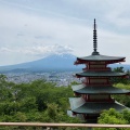 実際訪問したユーザーが直接撮影して投稿した浅間神社新倉富士浅間神社の写真