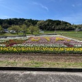 実際訪問したユーザーが直接撮影して投稿した緒方町原尻道の駅道の駅 原尻の滝の写真