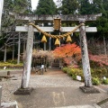 実際訪問したユーザーが直接撮影して投稿した板取神社根道神社の写真