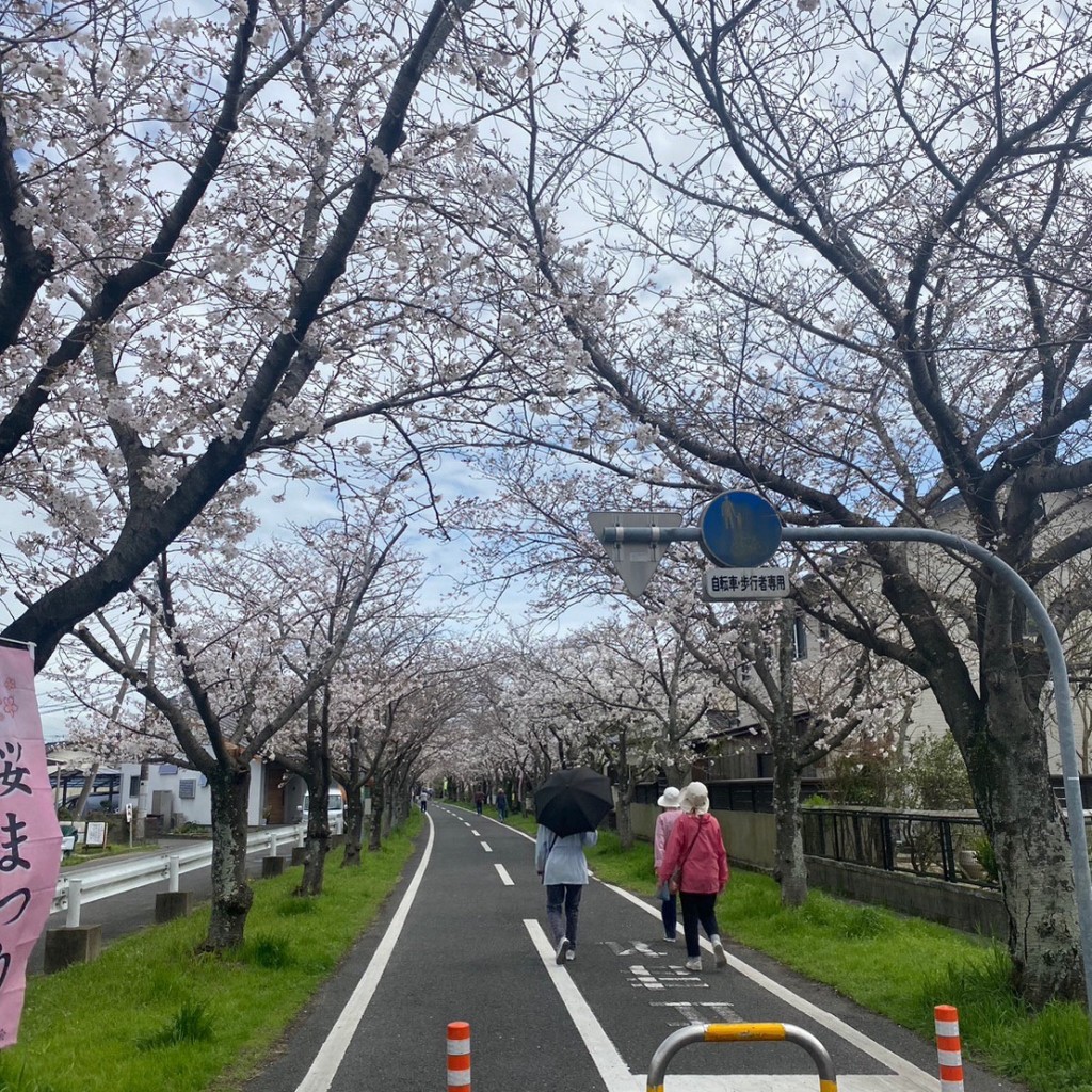 K41Oさんが投稿した諸富町大字為重観光施設のお店徐福サイクルロードの写真