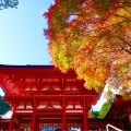 実際訪問したユーザーが直接撮影して投稿した神宮町神社近江神宮の写真